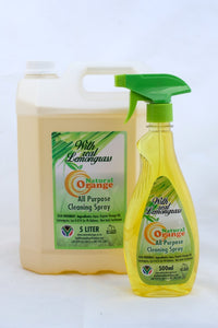 NOVEMBER  PROMOTION : 2 LITERS ALL PURPOSE CLEANING SPRAY (20% OFF)